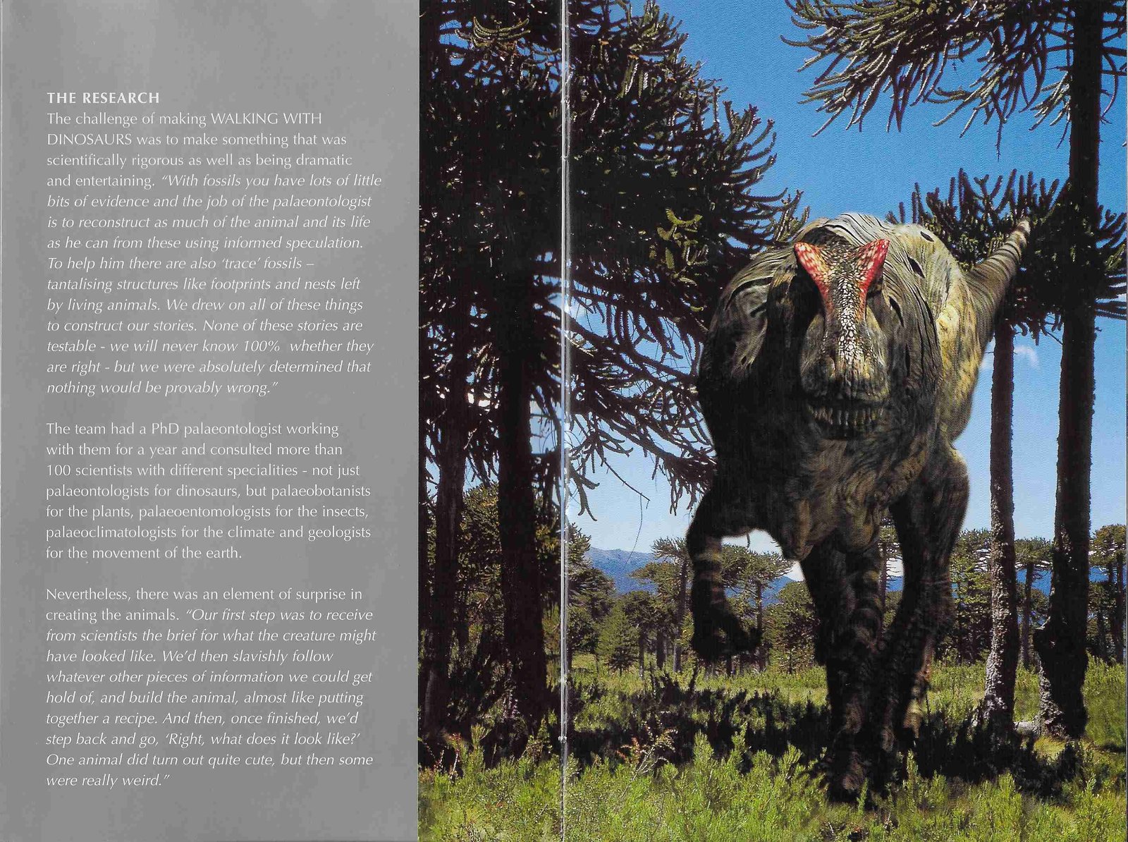 Inserts from BBCDVD 1016